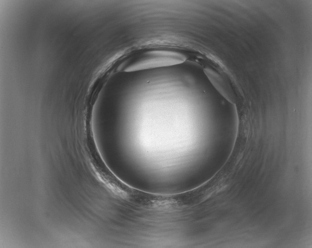 X0000079330446200611171153