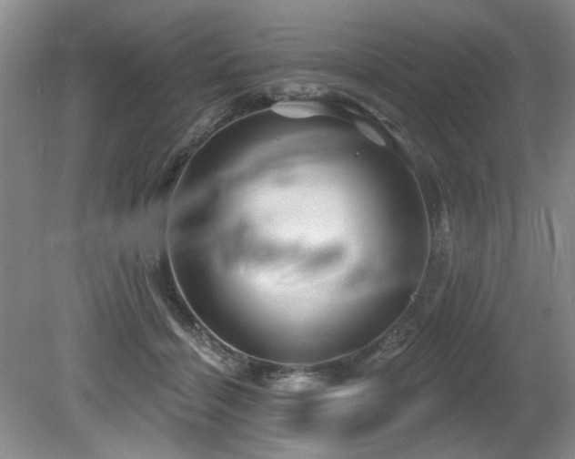 X0000079330460200611171153
