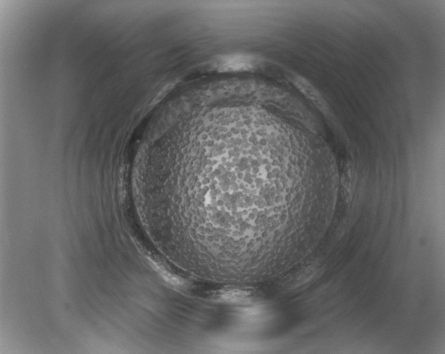 X0000079330462200611171153