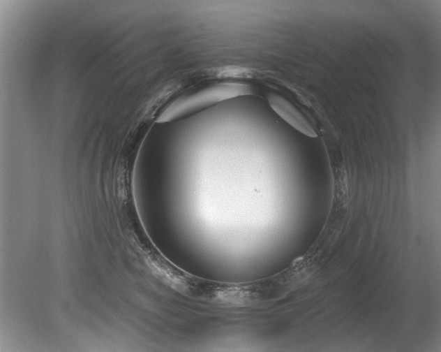 X0000079330470200611171153
