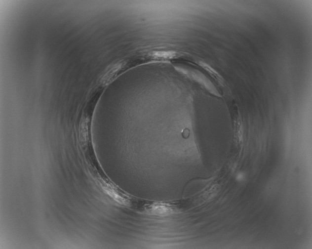X0000079330475200611171154