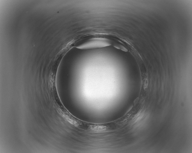 X0000079330476200611171154
