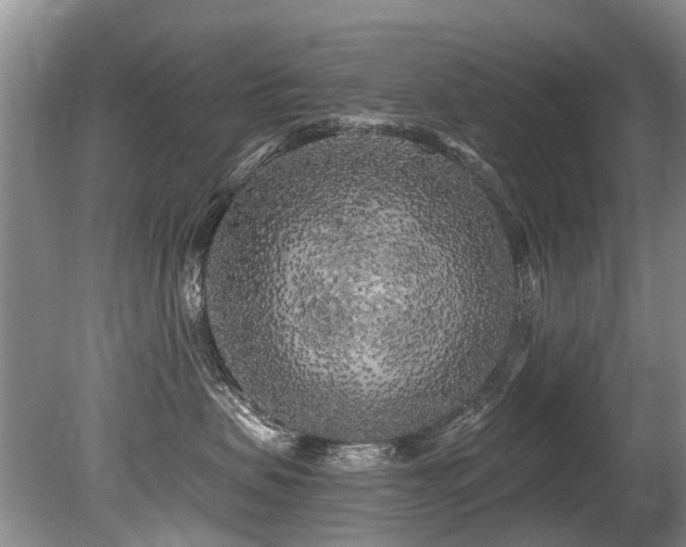 X0000079330479200611171154