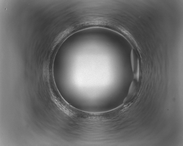 X0000079330482200611171153