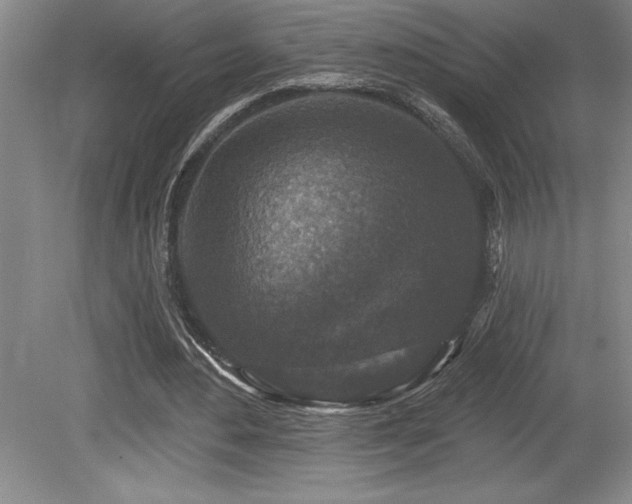 X0000079330484200611171153