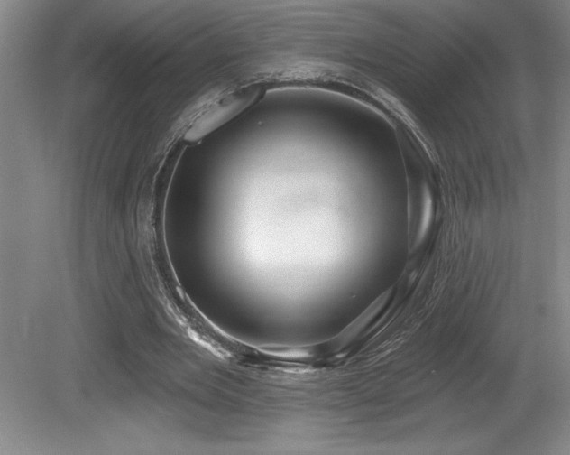 X0000079330485200611171153