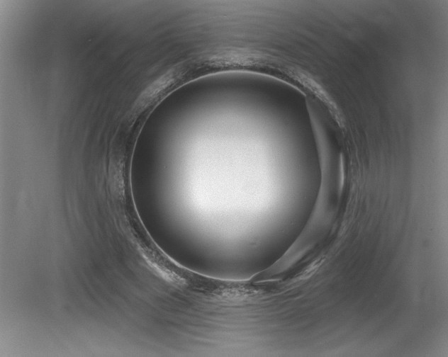 X0000079330489200611171153