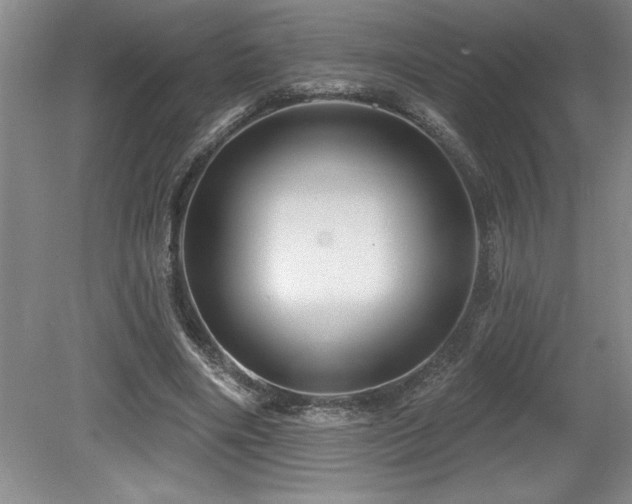 X0000079330490200611171153