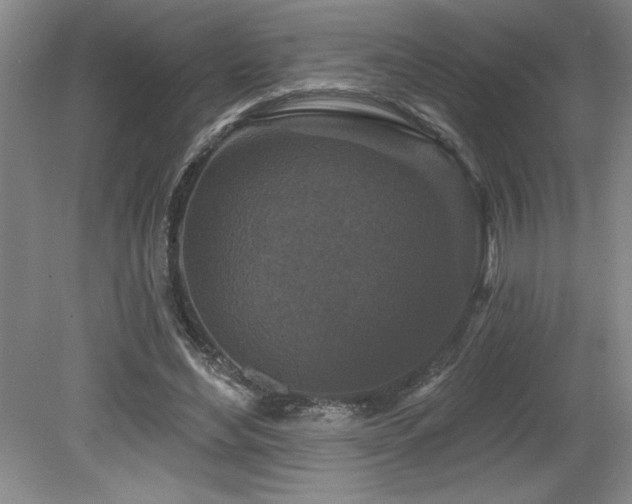 X0000079330492200611171153