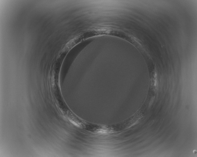 X0000079330504200611171152