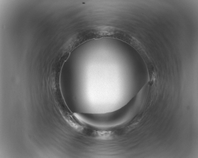 X0000079330512200611171152