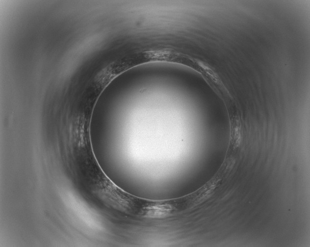 X0000079330525200611171152