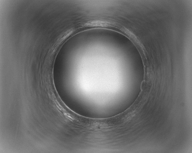 X0000079330529200611171151