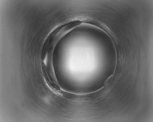 X0000079330530200611171151