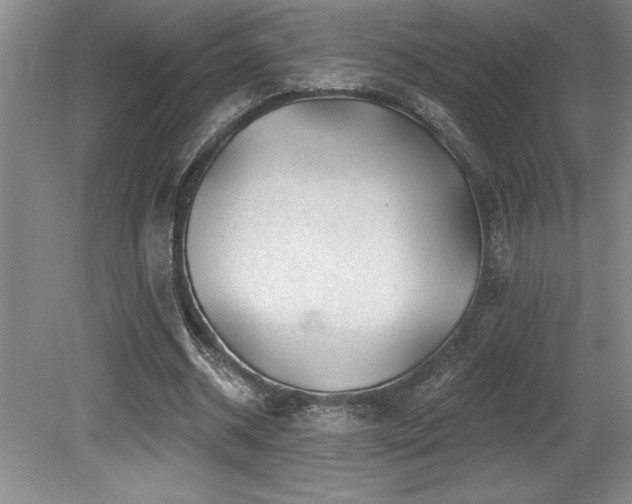 X0000079330534200611171151