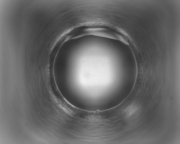 X0000079330535200611171151