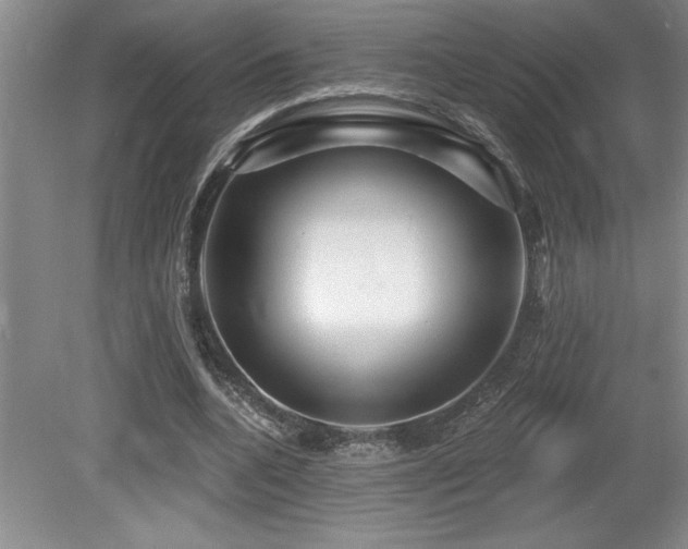 X0000079330536200611171151
