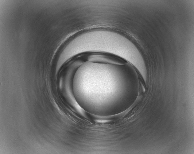 X0000079330540200611171151