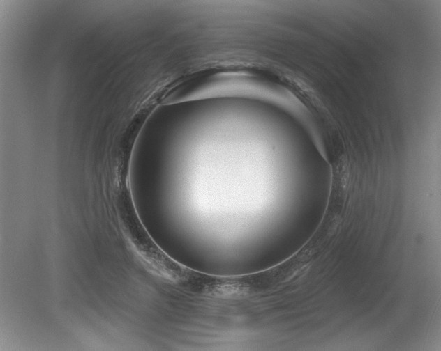 X0000079330546200611171152
