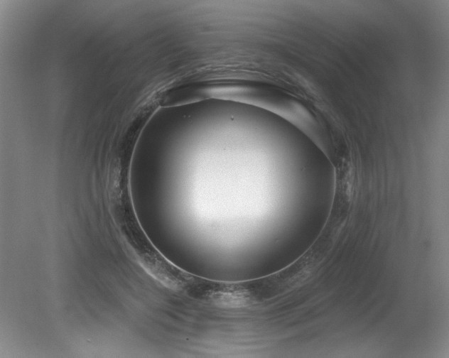 X0000079330548200611171152