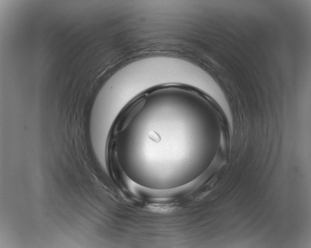 X0000079330556200611171152