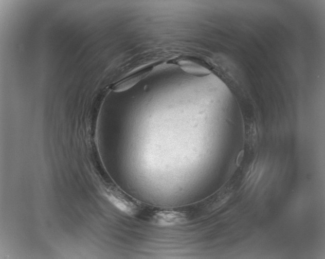 X0000079330557200611171152
