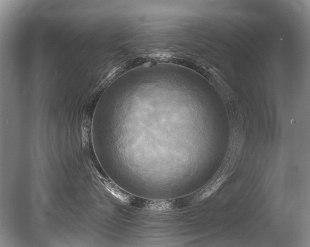 X0000079330576200611171152