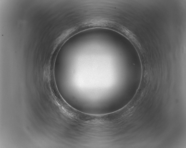 X0000079330578200611171151