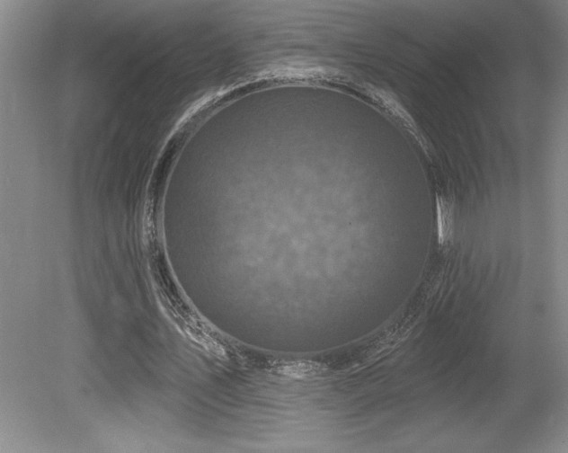 X0000079330579200611171151