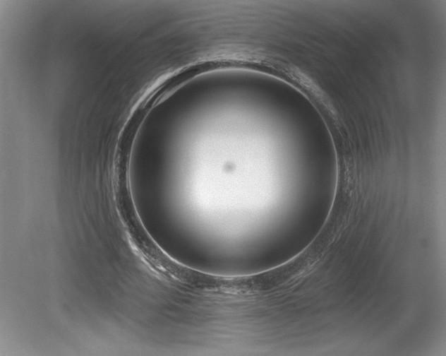 X0000079330580200611171151