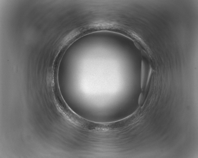 X0000079330582200611171151