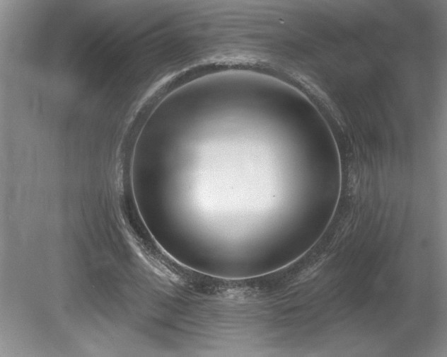 X0000079330584200611171151