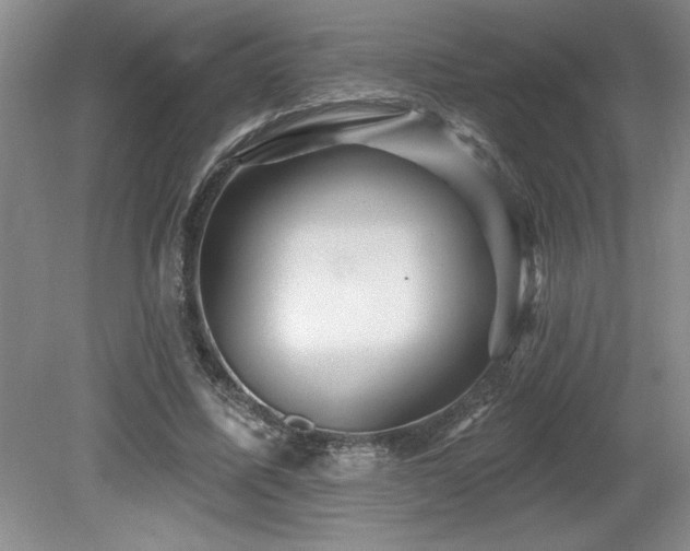 X0000079330587200611171151