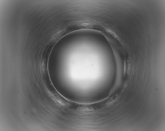 X0000079330597200611171151