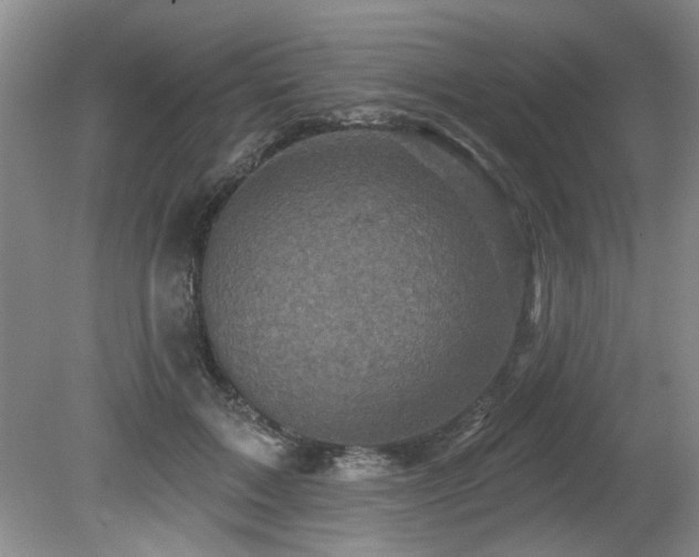 X0000079330603200611171151