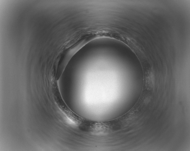 X0000079330608200611171151