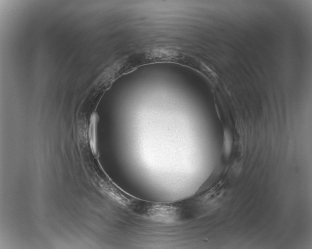 X0000079330617200611171151