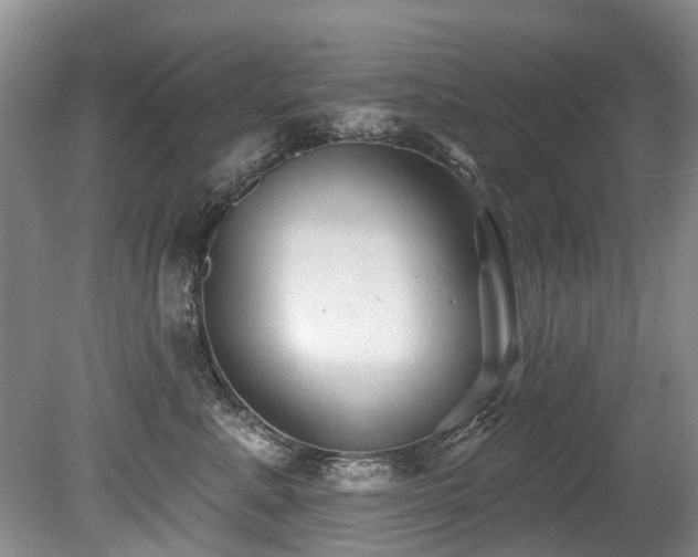 X0000079330619200611171151