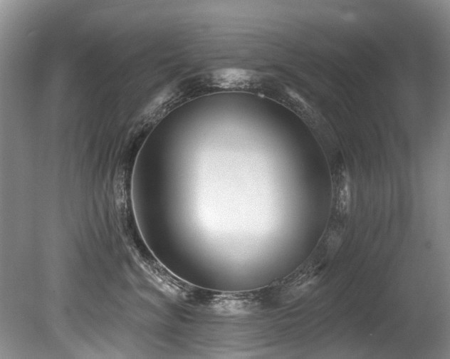 X0000079330620200611171151