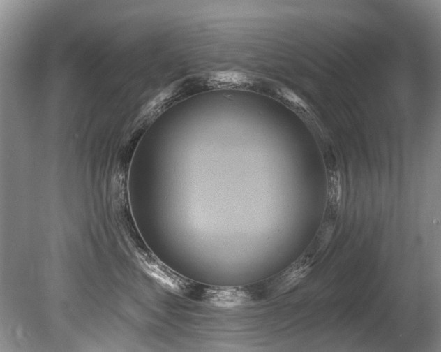 X0000079330621200611171150