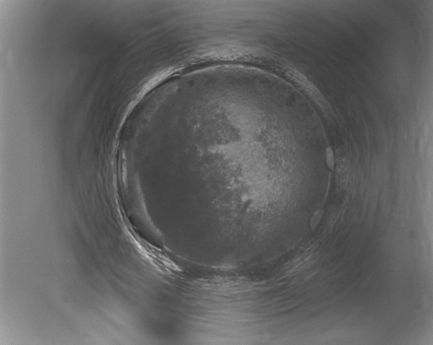 X0000079330626200611171150