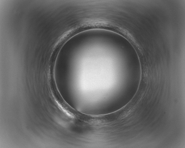 X0000079330629200611171150