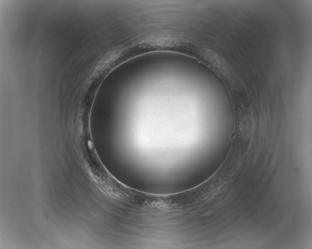 X0000079330635200611171150