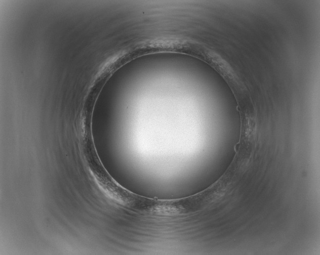 X0000079330636200611171150