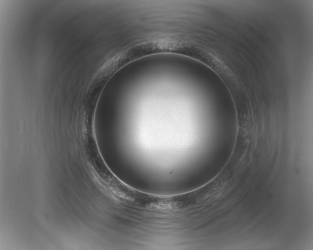 X0000079330639200611171150