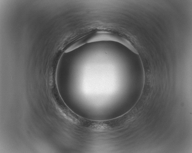 X0000079330642200611171150