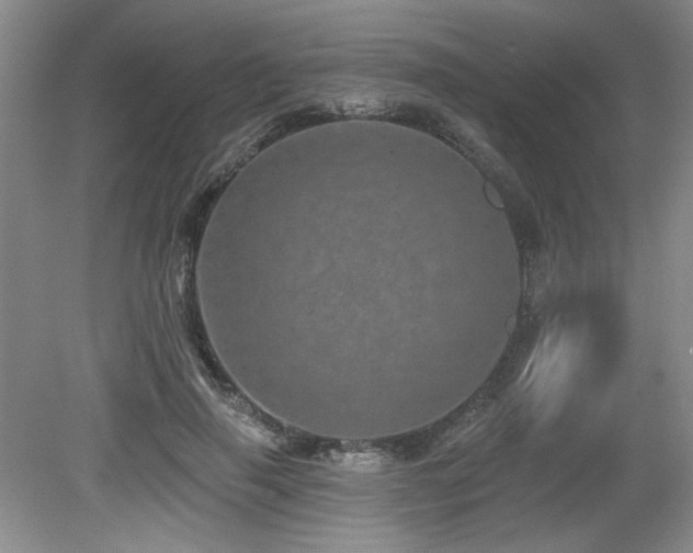 X0000079330645200611171150