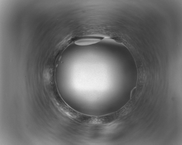 X0000079330656200611171150