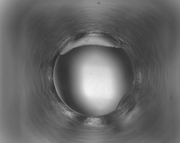 X0000079330665200611171150