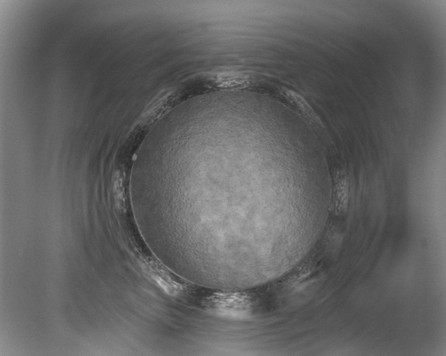 X0000079330667200611171150